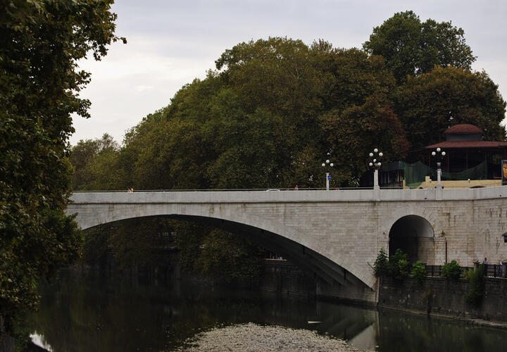 Кубанец украл лес почти на миллион рублей. Его ждёт долгий срок