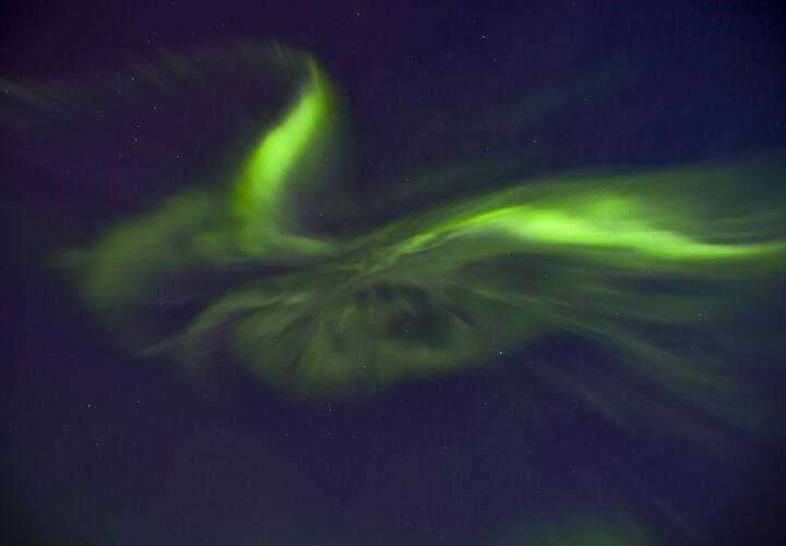 Гороскоп на 1 апреля 2026 года для всех знаков зодиака