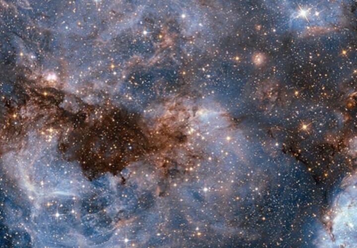 Львы освоят новые навыки, а Весы столкнутся с провокациями 