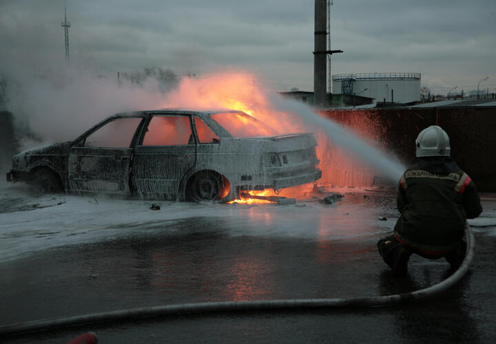 Полиция проводит проверку