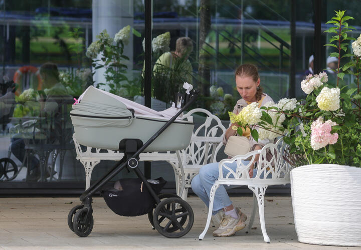 Разбираем, сколько баллов можно получить за каждого ребёнка 