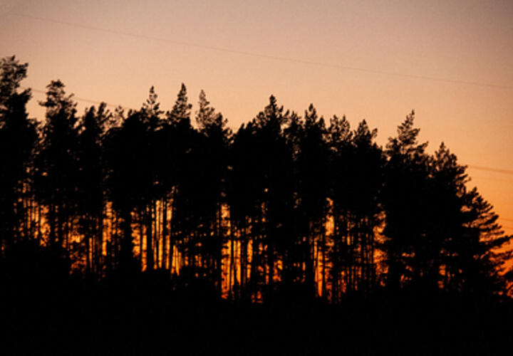Метеозависимость или психосоматика: что на самом деле стоит за ухудшением самочувствия при смене погоды?