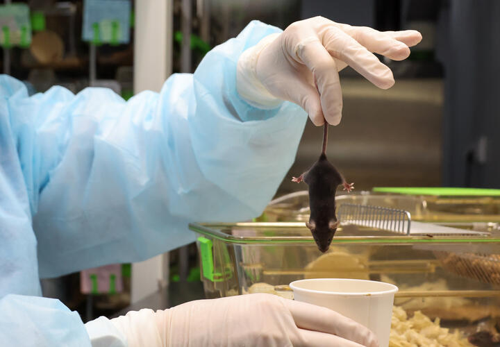 Мужские и женские сердца по-разному переносят стресс