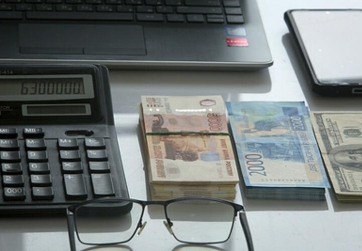 Никаких собак они не чипировали: глава известного в Краснодаре приюта «Краснодог» с сообщниками похитили 1,5 миллиона из бюджета города