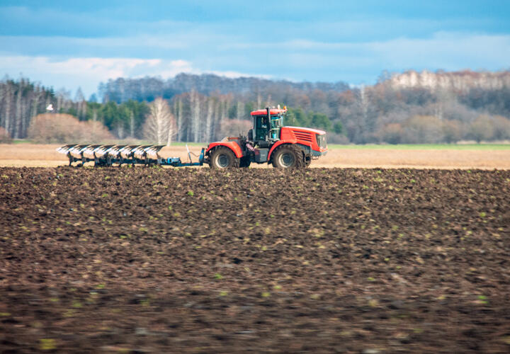 Власти рассчитывают остановить истощение чернозема и повысить урожайность