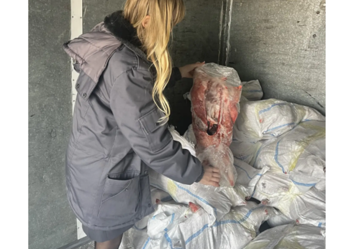 Опасное мясо нутрии пытались провезти в Успенский район Кубани