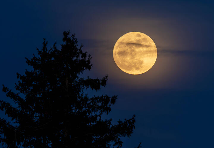 Гороскоп на 5 марта 2026 года для всех знаков зодиака