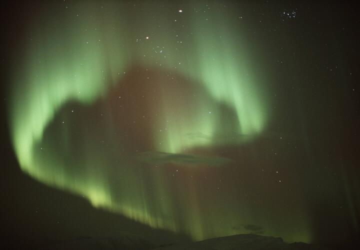 Овны рискуют переоценить собственные силы, в жизни Весов «нарисуется» прошлое