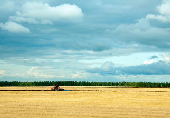 Рассказываем, как это работает на примере озимых, кукурузы и подсолнечника