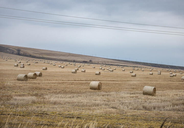 Господдержка поможет фермерам восстановиться после засухи, нарастить производство зерна, молока и других продуктов