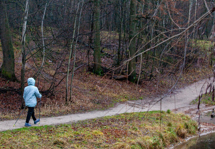 Дикие животные освоились на Суджукской косе