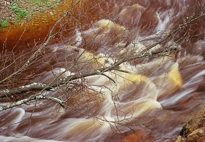 Сильно выпила и угодила в ловушку: в Сочи женщина упала в ручей и не могла выбраться 