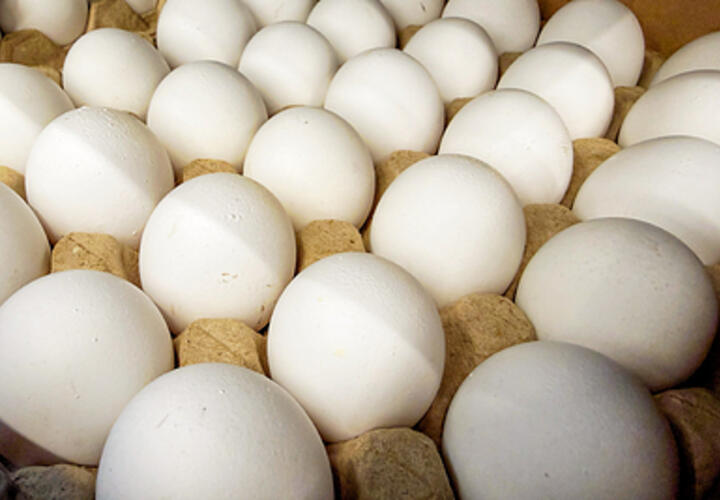 Стоимость яиц продолжает расти, рассказали в Росстате