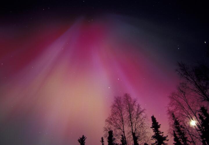 Гороскоп на 7 марта 2026 года для всех знаков зодиака