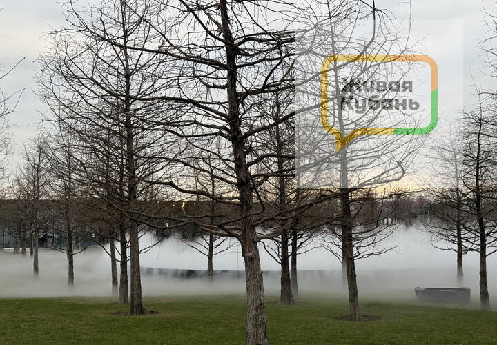 Жители и гости города, которые в минувшие выходные посетили жемчужину Юга, терялись в догадках при виде белой дымки