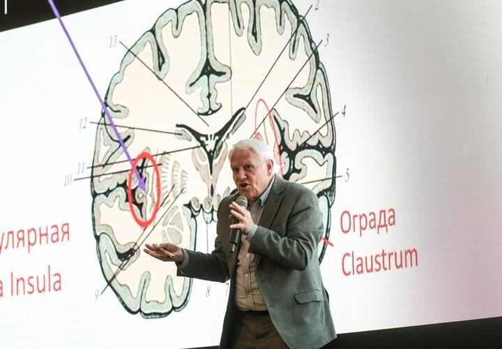 Рисунок мозга