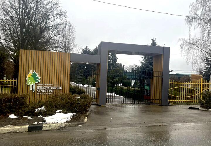 Армавирский питомник декоративных культур