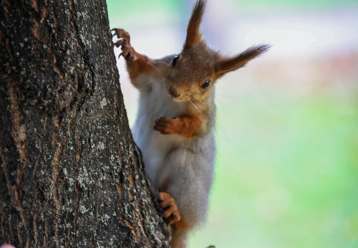 В этом полугодии у россиян ещё трижды будут трёхдневные выходные