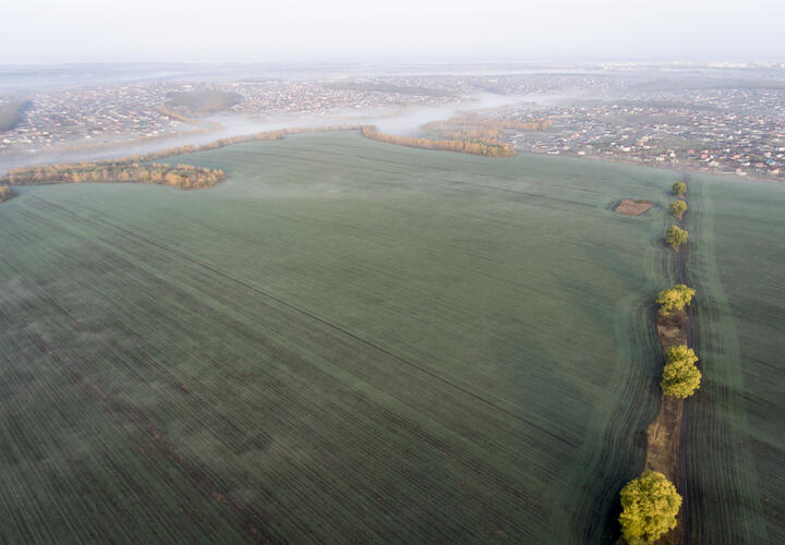 В Новосибирске людям выплачивают деньги за убийство скота, Трамп сказал, что будет, если Ормузский пролив не откроют через 48 часов: что произошло, пока вы спали