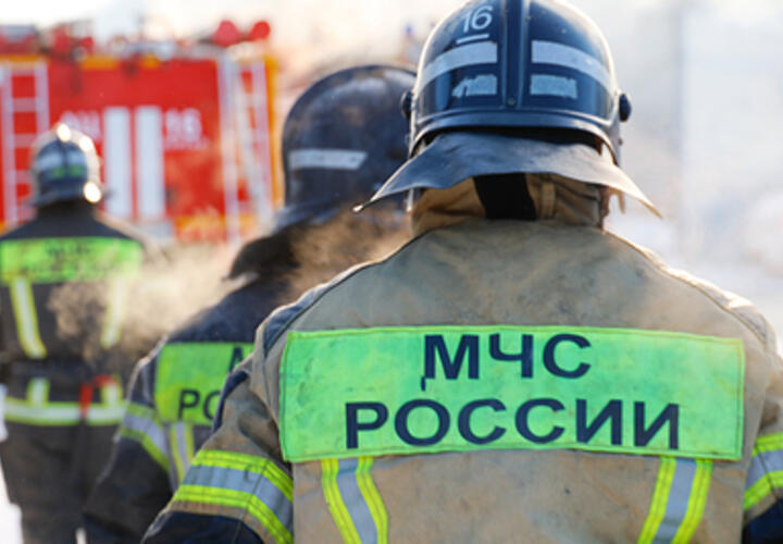 Роспотребнадзор выявил превышение токсинов 