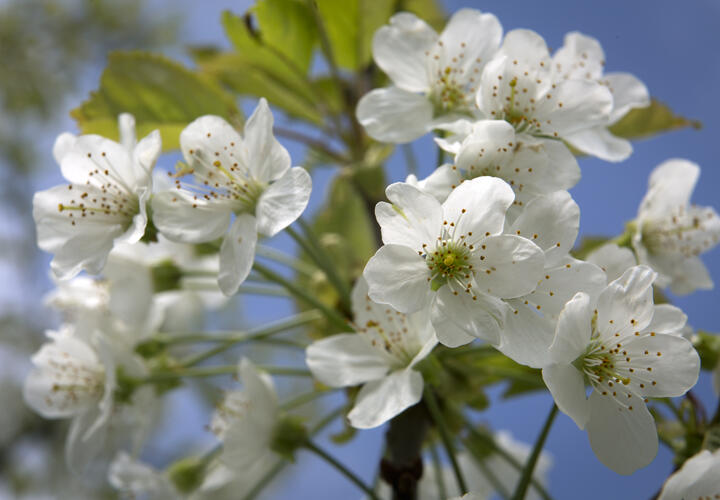  Краснодарский край в это время года преображается