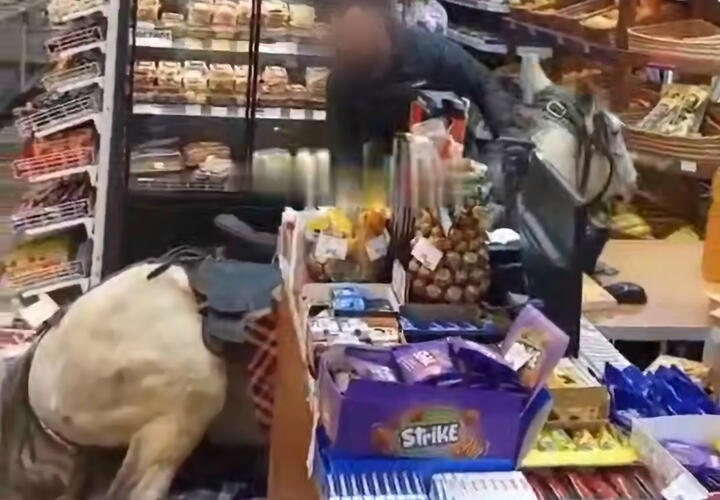 Всадник на белом коне учинил разгром в продуктовом магазине в Красной Поляне