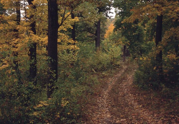 Мать и ее сожитель скрывали правду много лет 