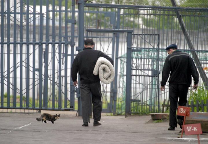 Жителя Краснодарского края приговорили к 10 годам за вербовку к террористам