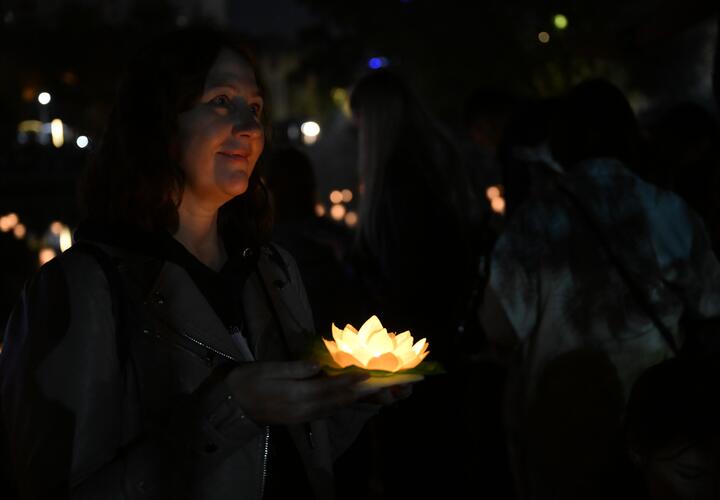 «Аватар» станет реальностью: китайские учёные создали светящие растения, а гены позаимствовали у светлячков