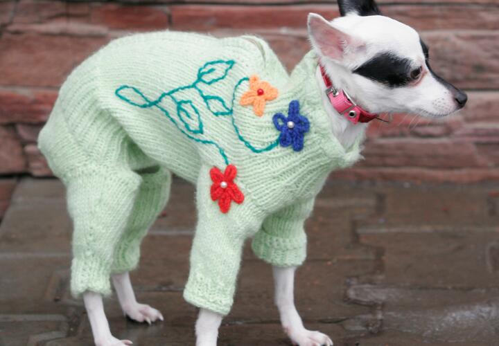 Шерстяной комбинезон для собаки