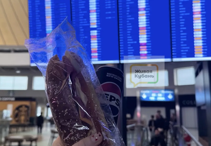 Дело не только в задержке вылетов: о подводных камнях рассказали пассажиры, вылетающие в аэропорты Краснодарского края. Личный опыт