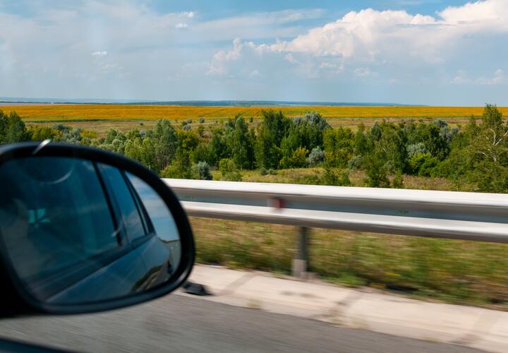 Пшеничное поле