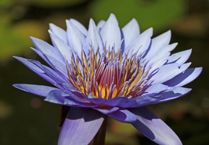 Многие из них выглядят безобидно