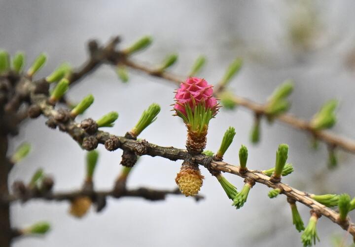 Где будет 23 градуса тепла? Погода в Краснодарском крае на выходные