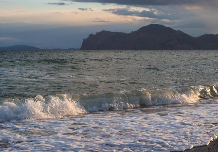  О результатах доложат лично Бастрыкину