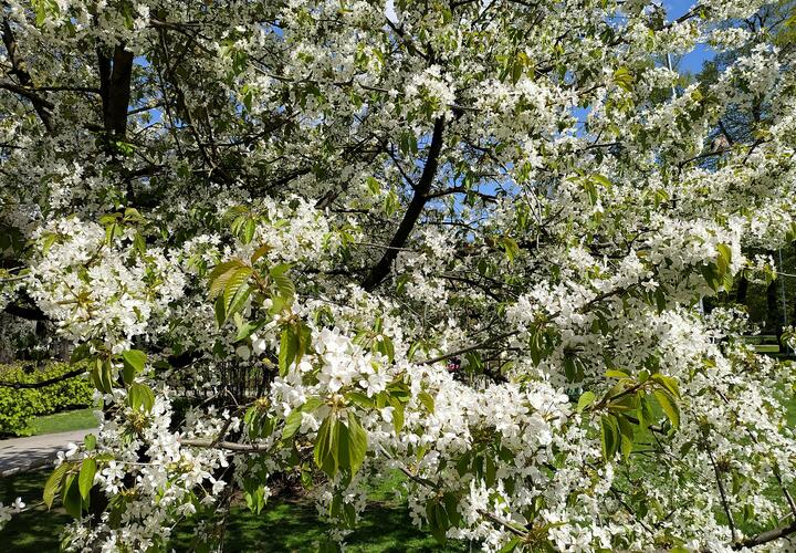 Академик РАН рассказал, почему лучше отложить дальнее путешествие до лета