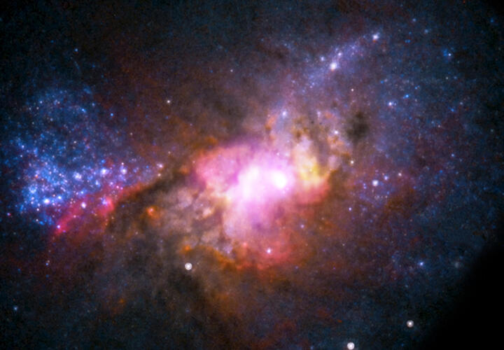 Гороскоп на неделю с 6 по 12 апреля 2026 года от «Живой Кубани»