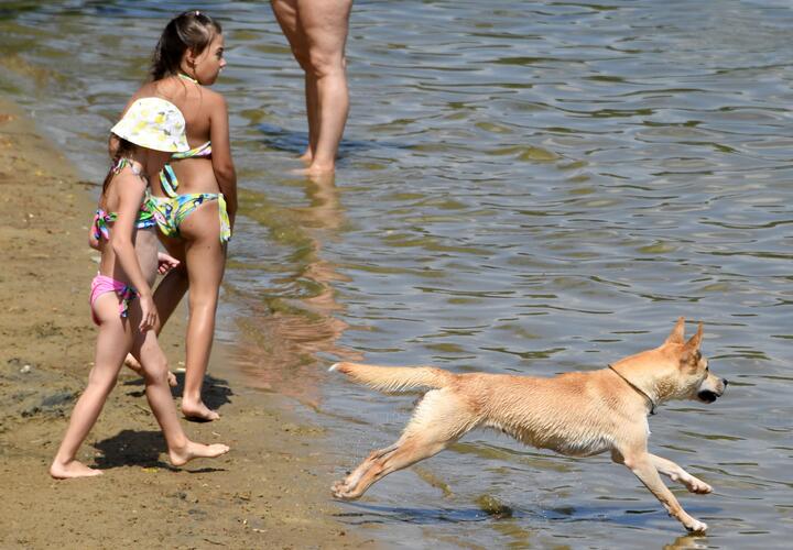 Известны три пляжа в Анапе, которые откроют этим летом