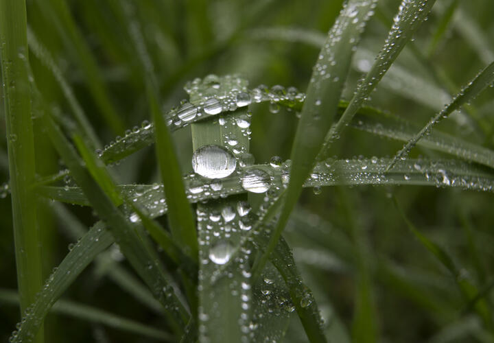 Как утром быстро наполнить своё тело энергией: новые привычки