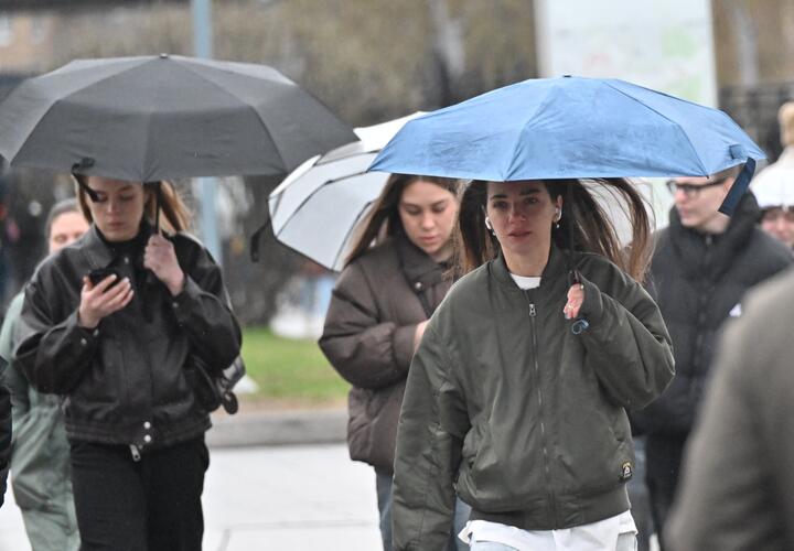 Дождливая погода