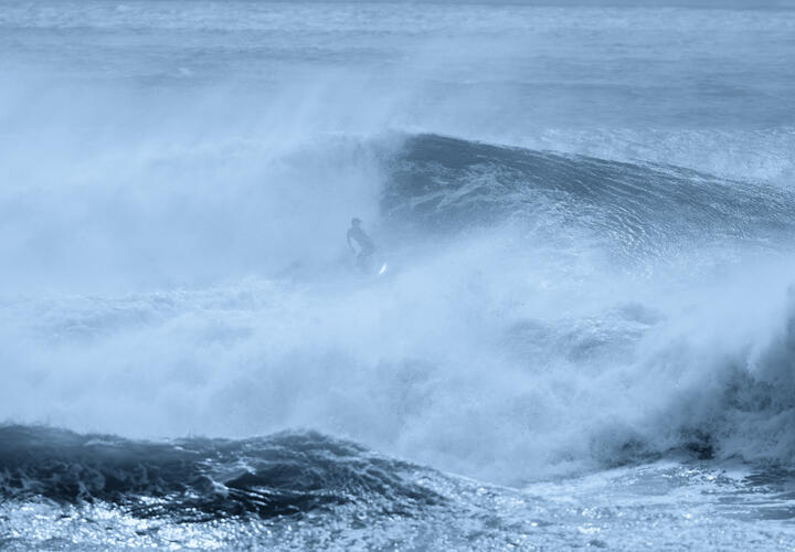 На глубине 9 км в Тихом океане нашли неизвестное существо