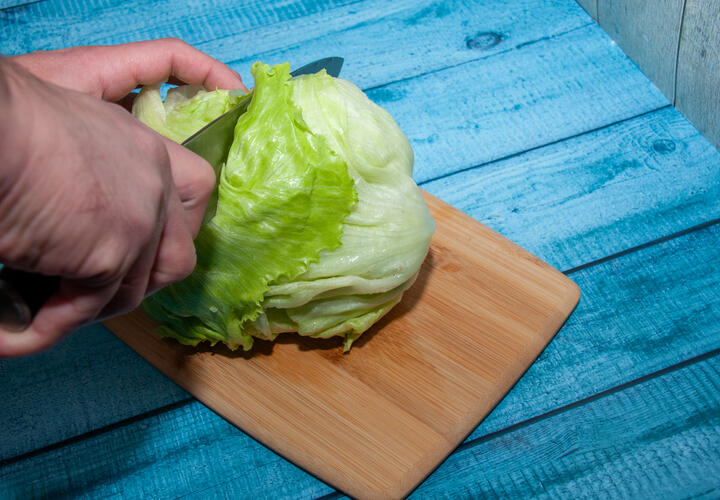 На Кубань завезли египетский салат-латук. Но что с ним нечисто?