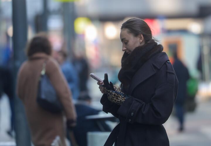 Рейтинг наиболее популярных материалов «Живой Кубани» за сегодня