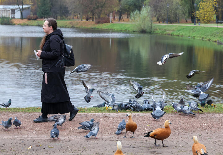 Оказывается, пернатые в парках и зелёных зонах сторонятся женщин сильнее, чем мужчин