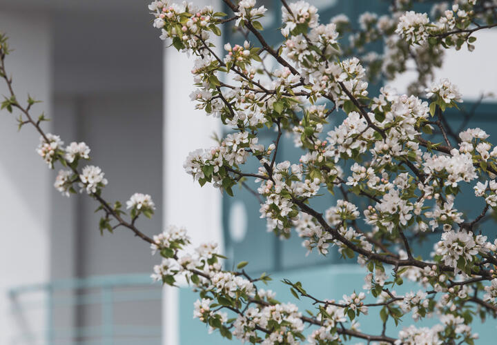 Врач рассказала о способах лечения