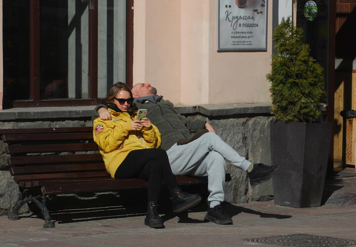 К какому выводы пришли ученые?