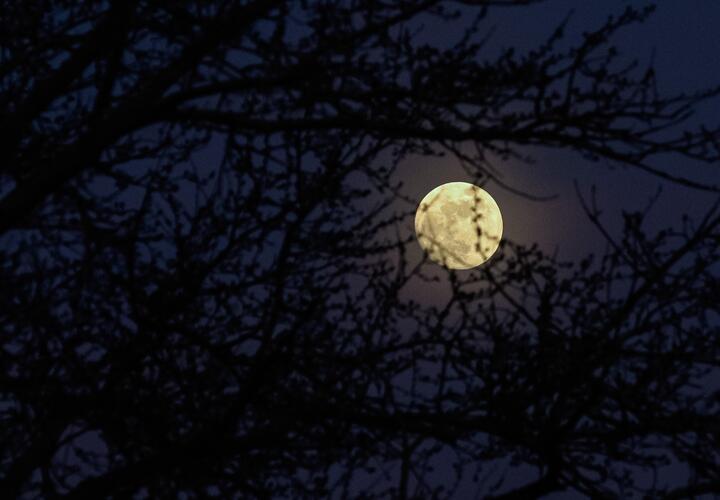 Полнолуние