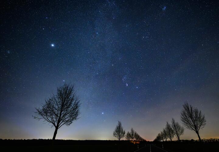 Раки вдохновятся, а Козероги получат необходимую помощь от близких