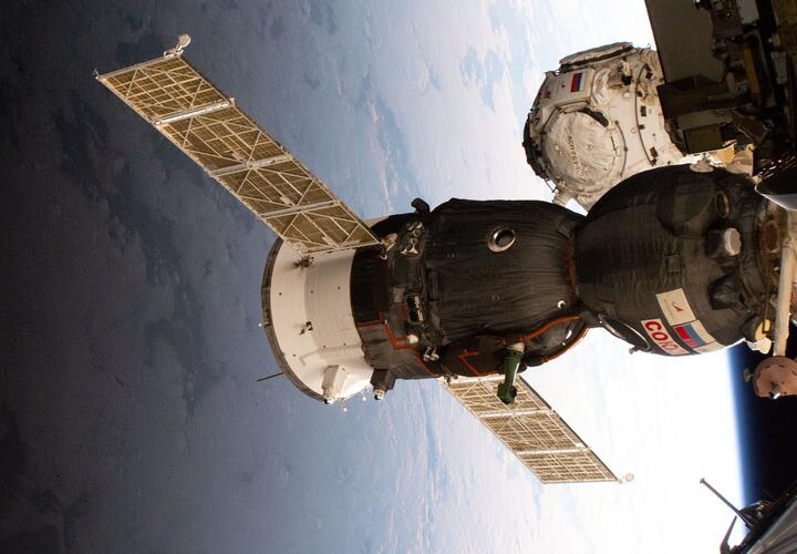 В грузе будет всё, что напоминает о Земле - от апельсинов до заливного осетра