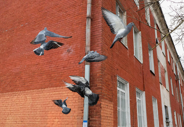 Почему УК может потребовать деньги за уборку фасадов?